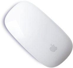 mouse